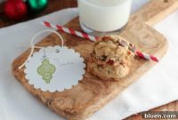 The Ultimate Chocolate Chip Cookies