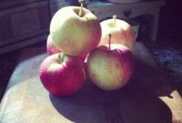 Saturdays Slice: Our Obsessive Lives