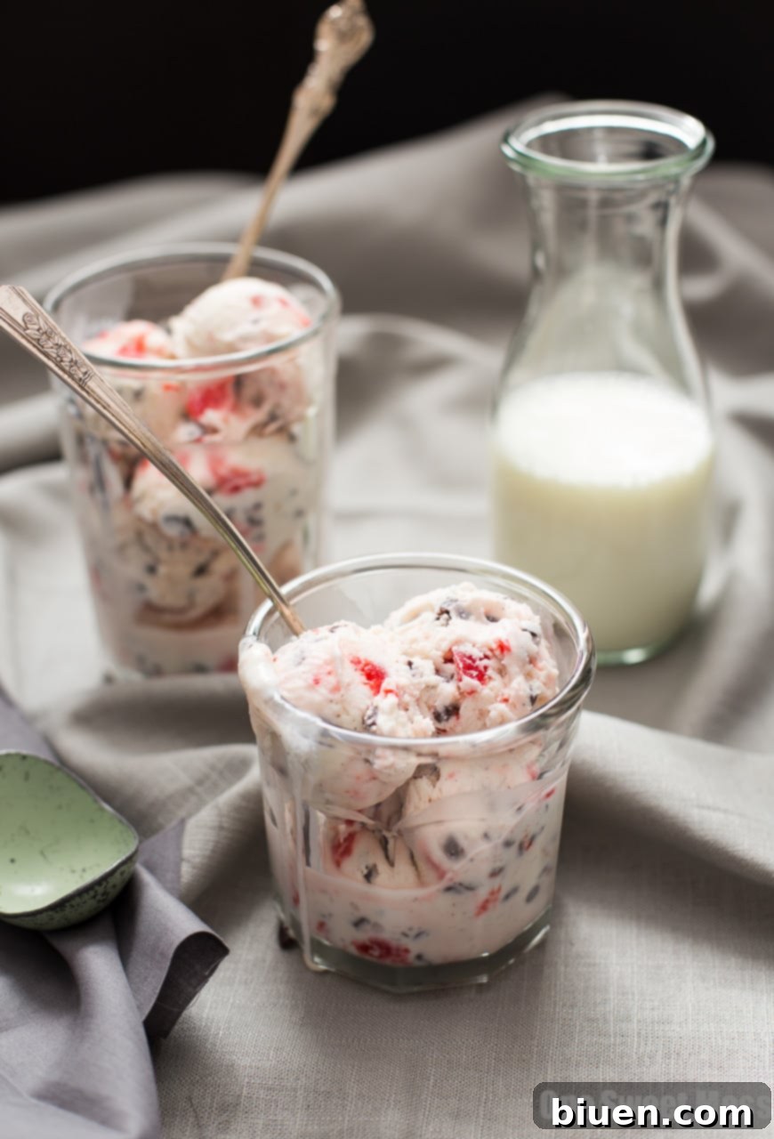Cherry Chocolate Chip Ice Cream with fresh cherries on top