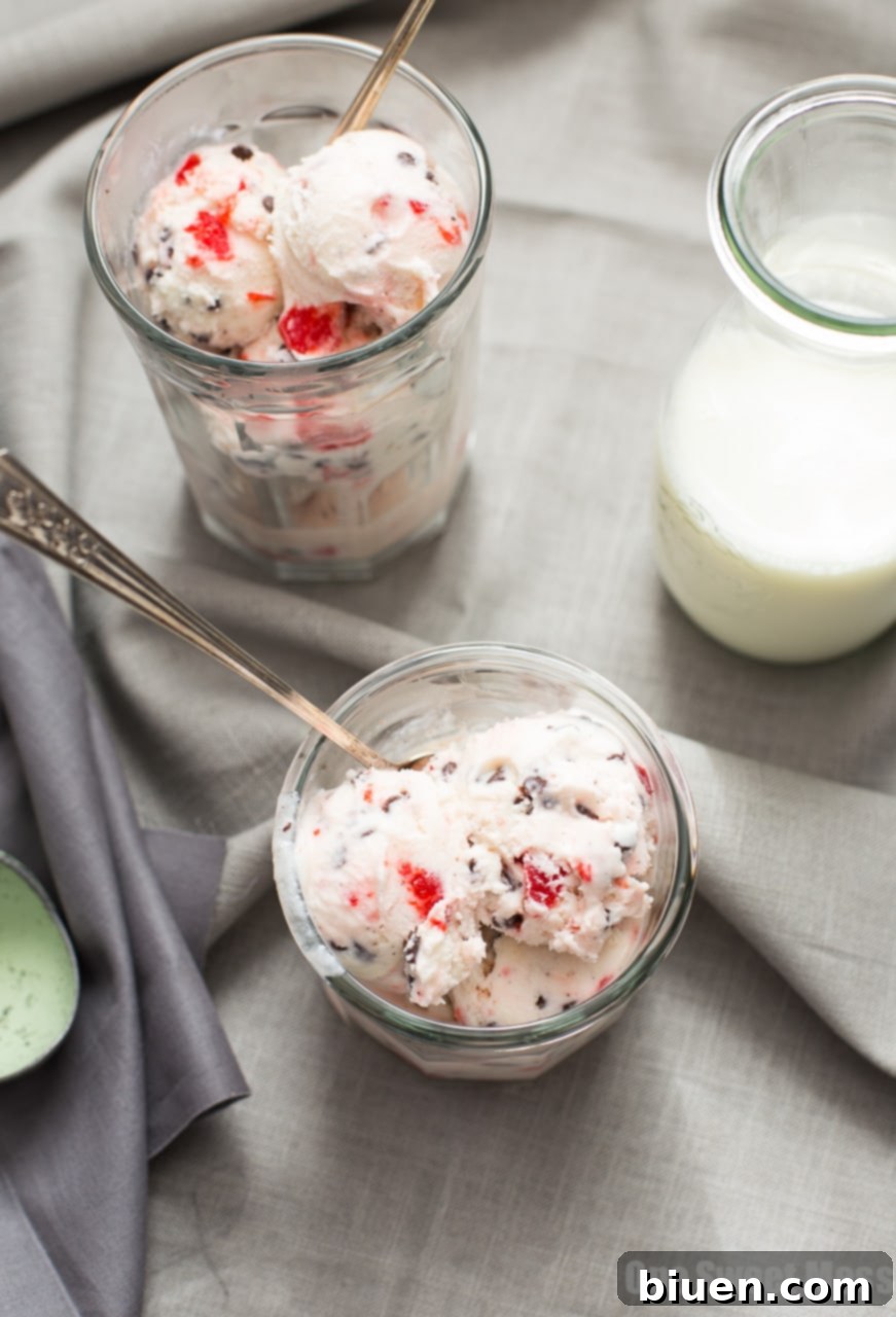 Close-up of Cherry Chocolate Chip Ice Cream in a bowl