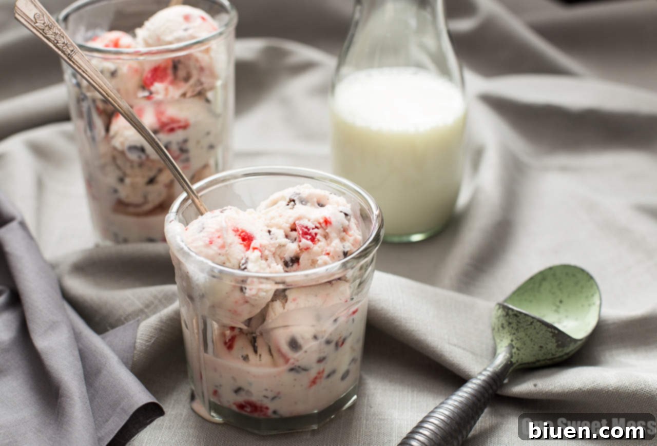 Scoops of Cherry Chocolate Chip Ice Cream