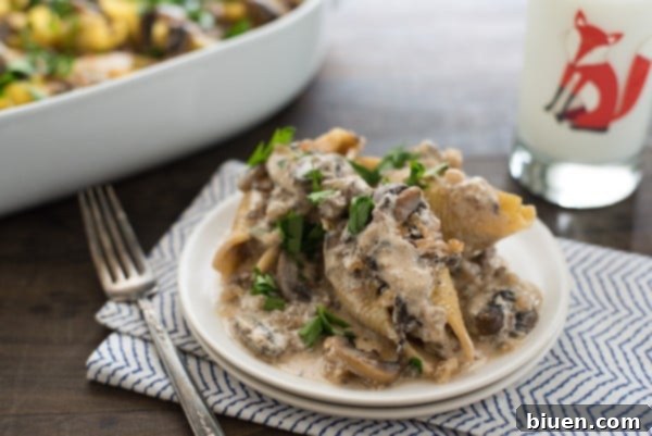Beef Stroganoff Stuffed Shells