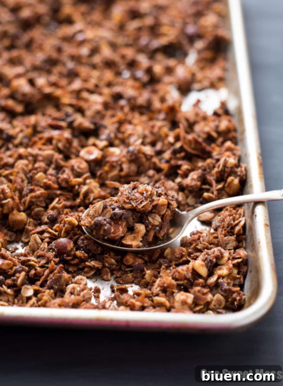 Chocolate Hazelnut Granola with Mini Chocolate Chips and a crunchy Turbinado Sugar Coating