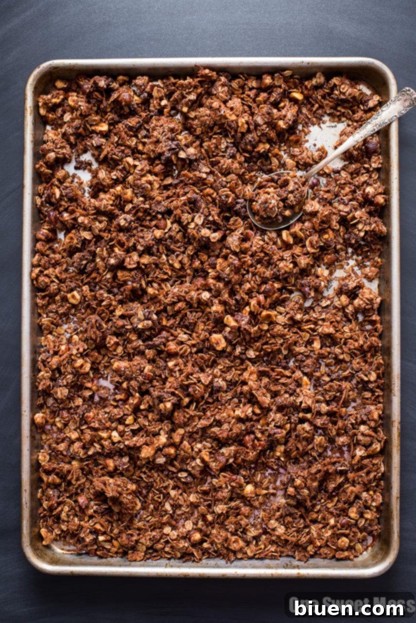 Chocolate Hazelnut Granola with Mini Chocolate Chips and a crunchy Turbinado Sugar Coating