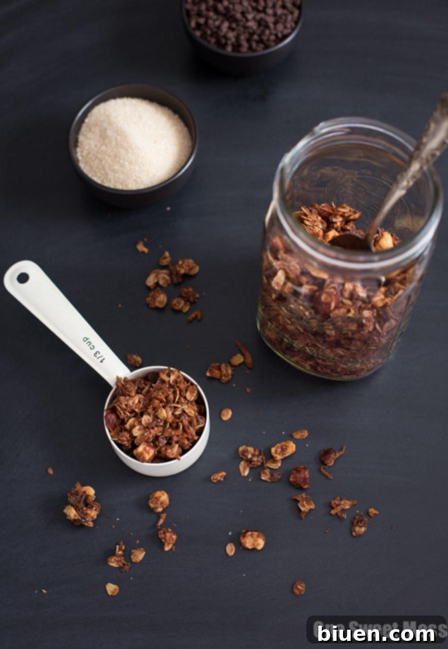 Chocolate Hazelnut Granola with Mini Chocolate Chips and a crunchy Turbinado Sugar Coating