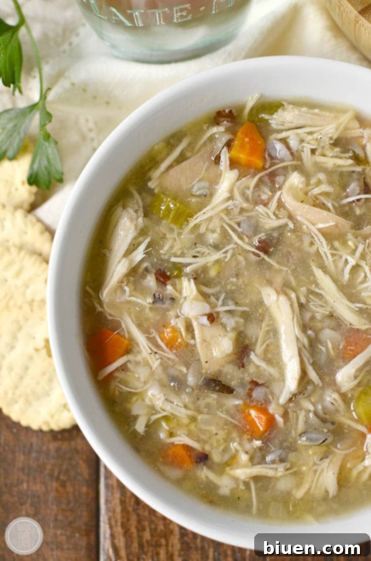 Crockpot Chicken and Wild Rice Soup - Cozy Slow Cooker Meal