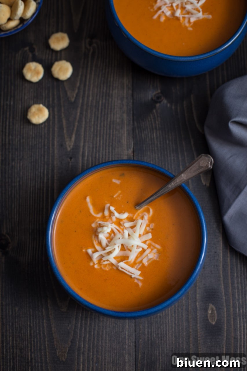 Roasted Red Pepper Smoked Gouda Soup - Velvety texture