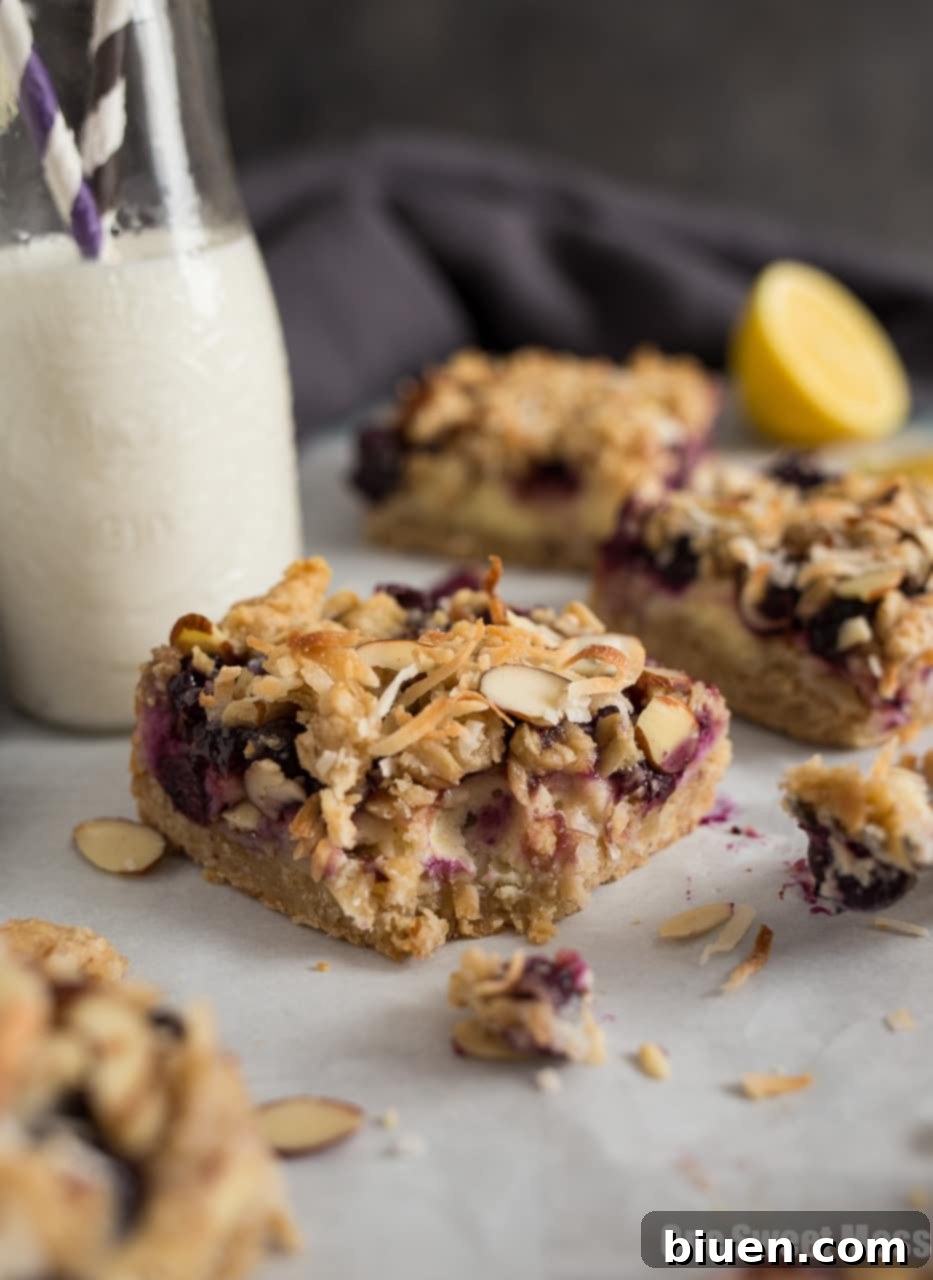 Tropical Blueberry Coconut Cheesecake 4 Blueberry Coconut Cheesecake Bars