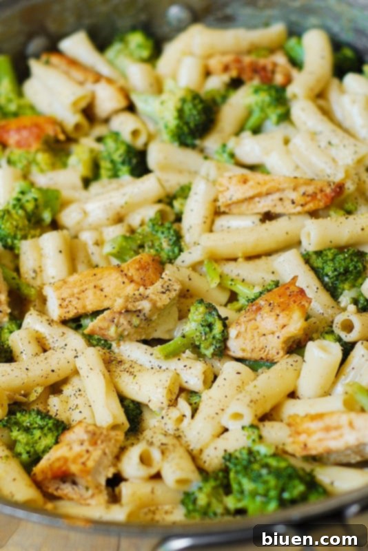 Chicken Broccoli Alfredo