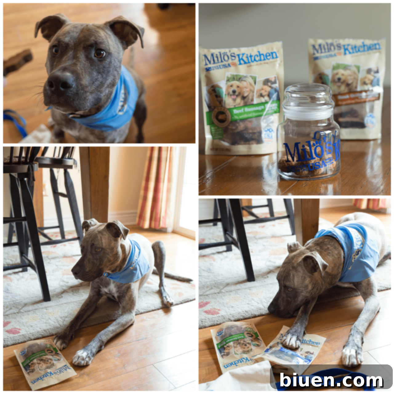 Sully & Milo's Kitchen