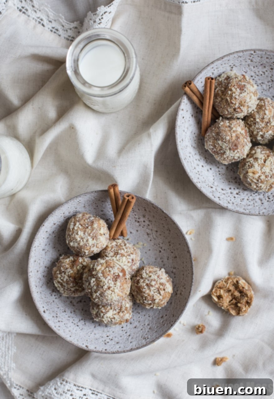 Cookie Butter Cinnamon Chip Oat Balls - A Perfect Sweet and Nutty Treat