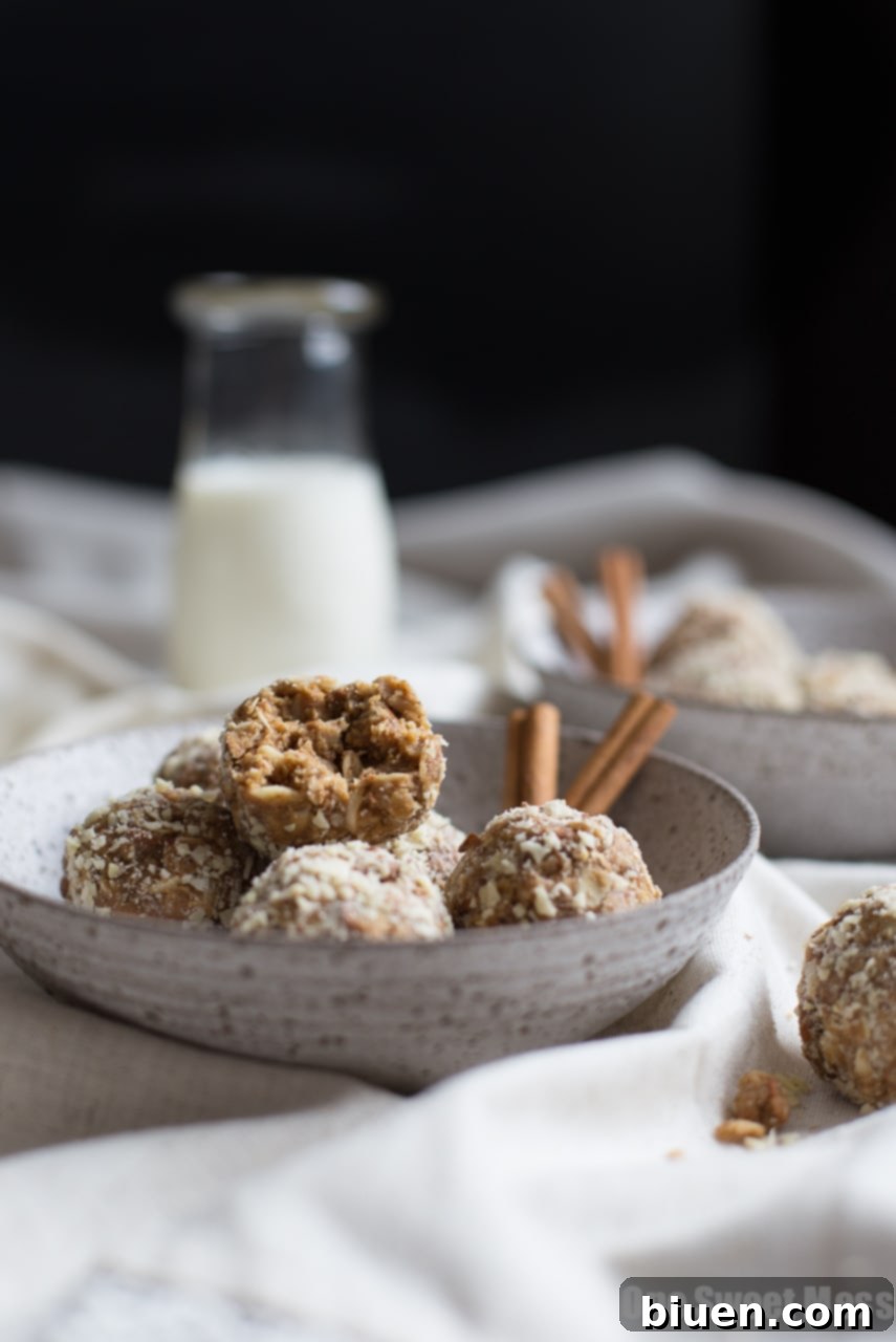 Close-up of Cookie Butter Cinnamon Chip Oat Balls, ideal for kids' lunches