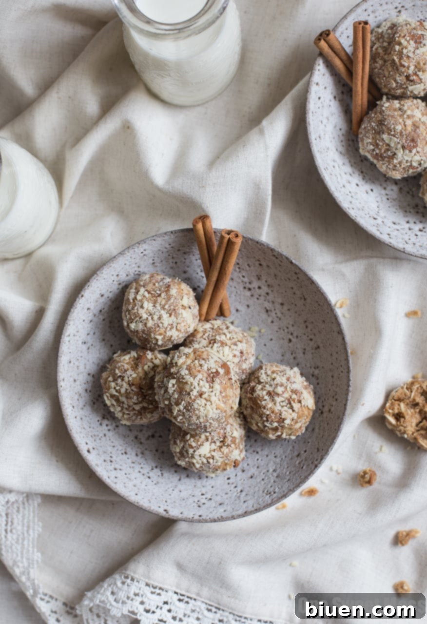 Plate of homemade Cookie Butter Cinnamon Chip Oat Balls with ingredients
