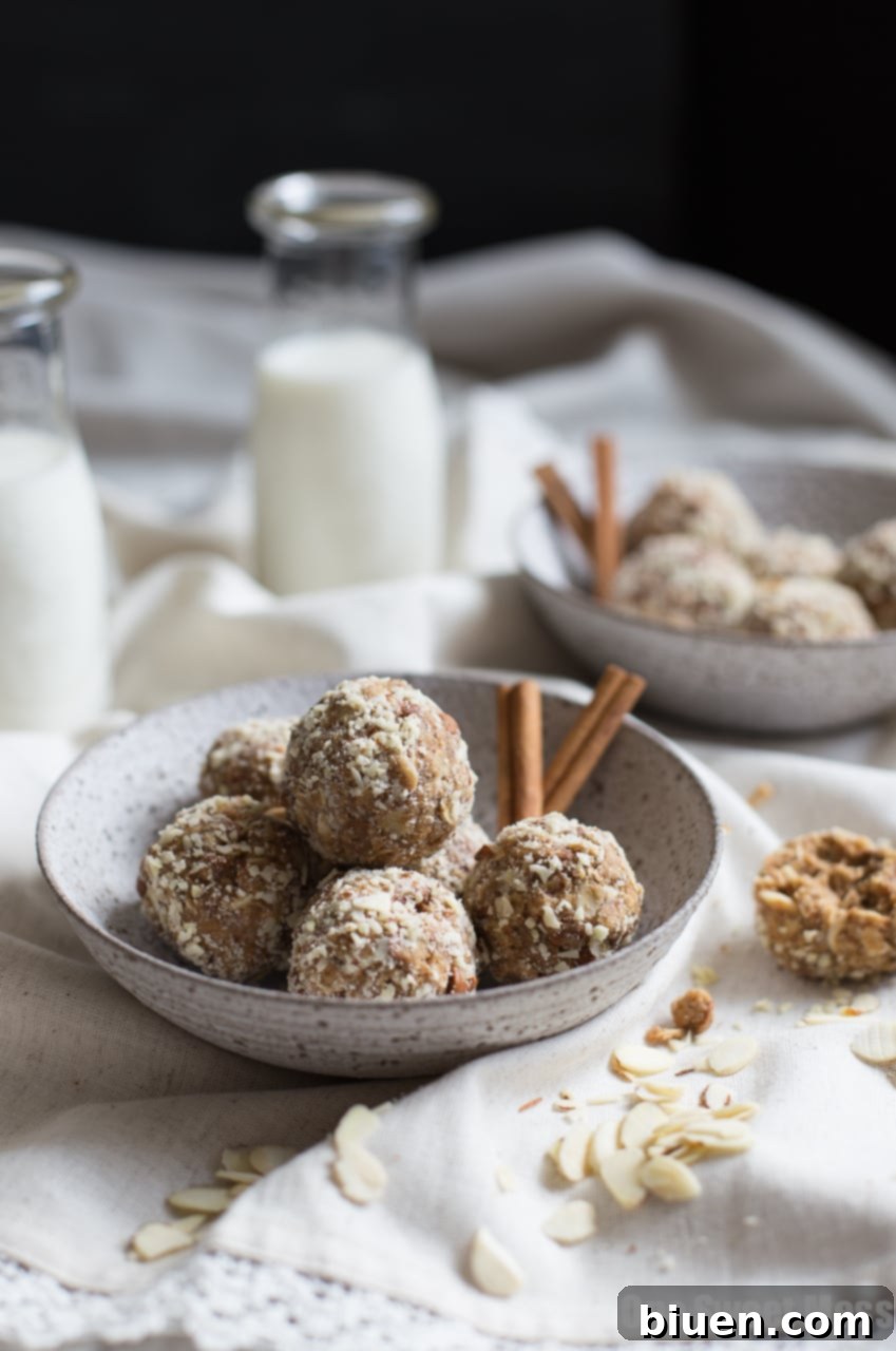 Stack of Cookie Butter Cinnamon Chip Oat Balls ready for a snack