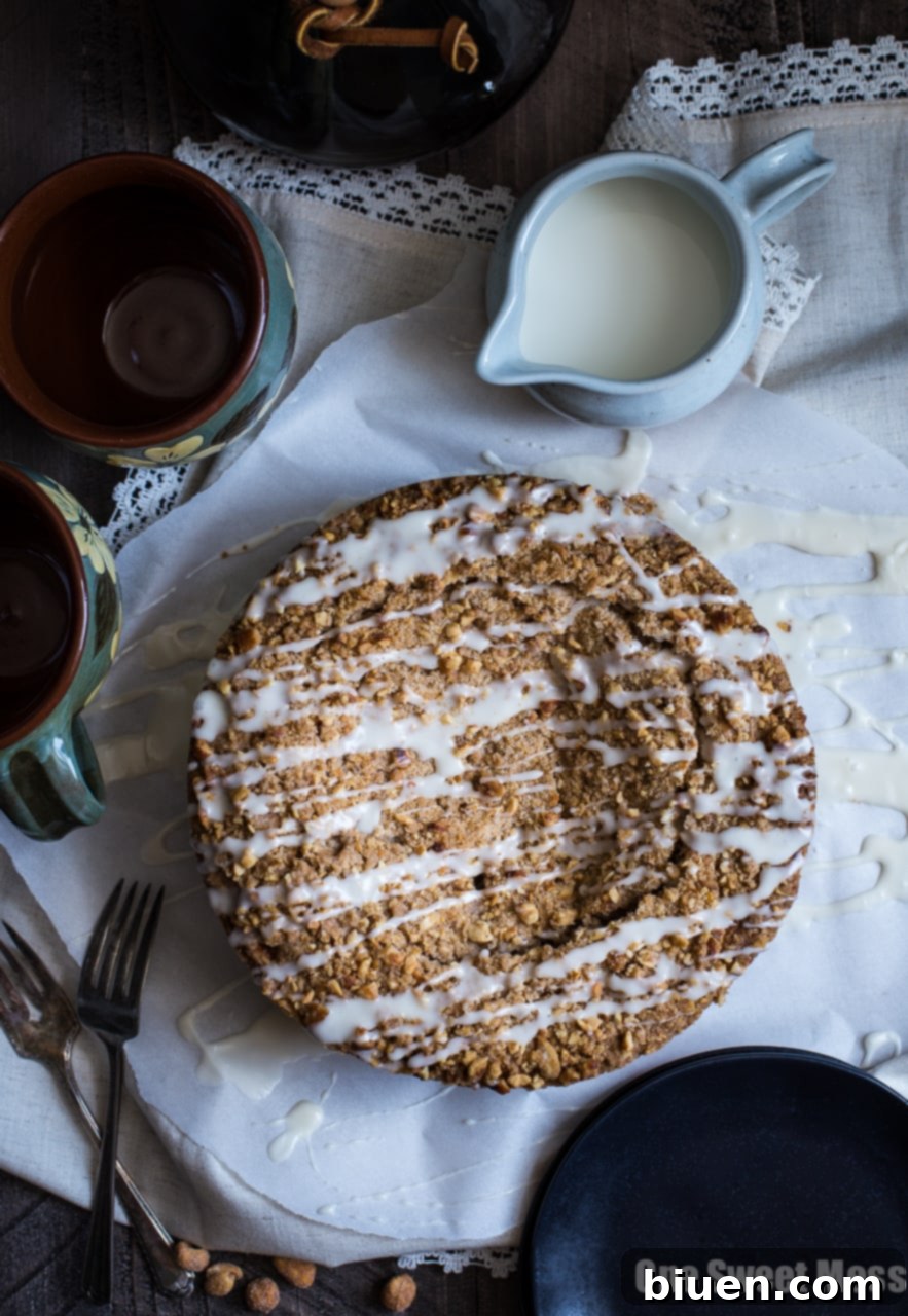 Moist Blueberry Chocolate Chip Cake with Crunchy Honey Roasted Peanut Streusel Topping