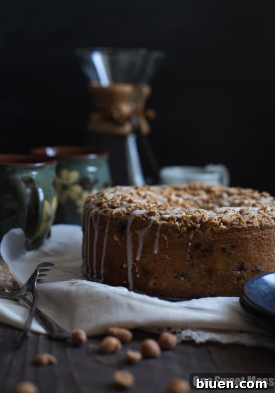 Slice of Blueberry Chocolate Chip Cake with Glaze and Peanut Streusel