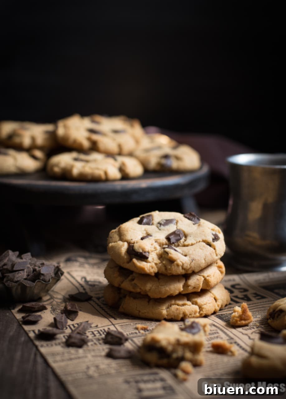 Peanut Butter Chocolate Chunk Cookies