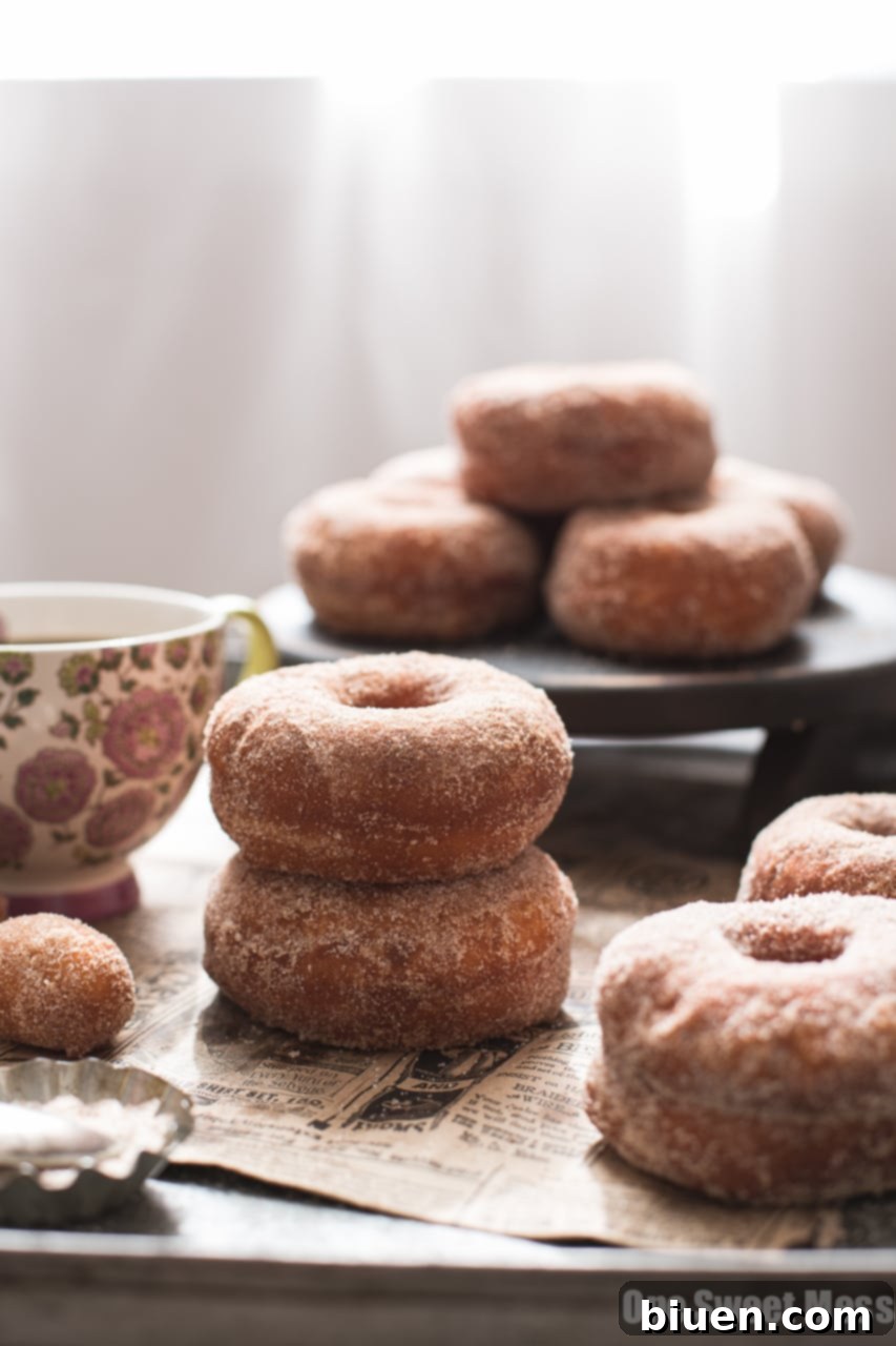 Pumpkin Spice Sugared Donuts