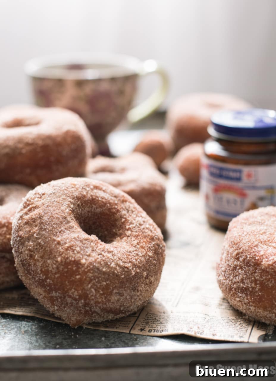 Pumpkin Spice Sugared Donuts