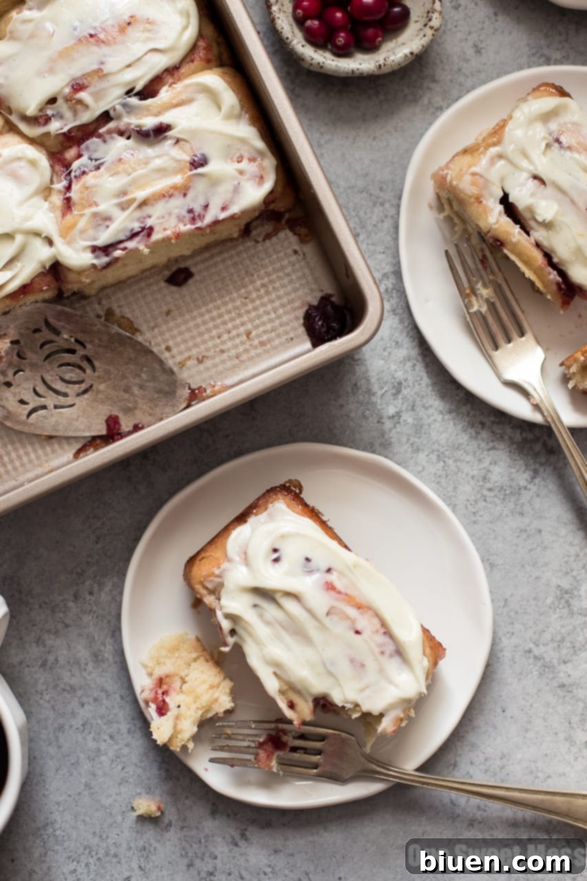 Cranberry Orange Sweet Rolls dough rolled with filling before slicing