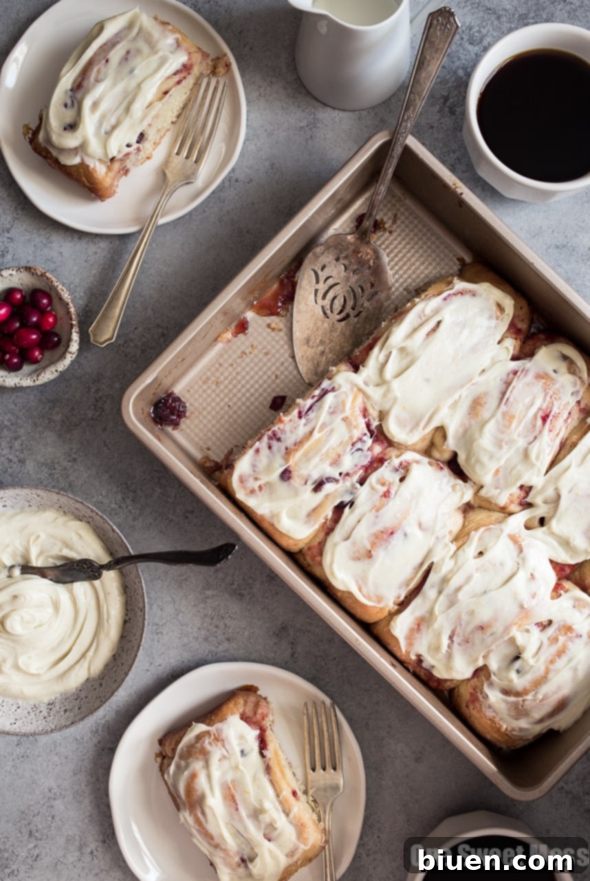 Sliced Cranberry Orange Sweet Rolls placed in a baking dish