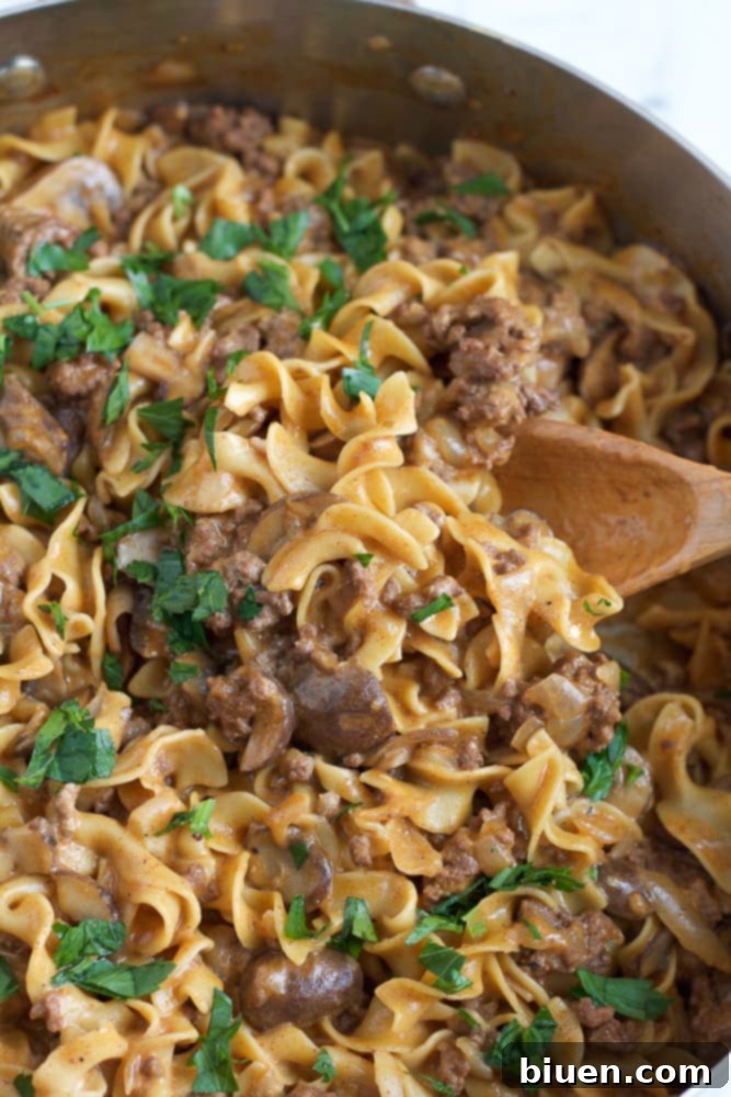 One Pot Beef Stroganoff
