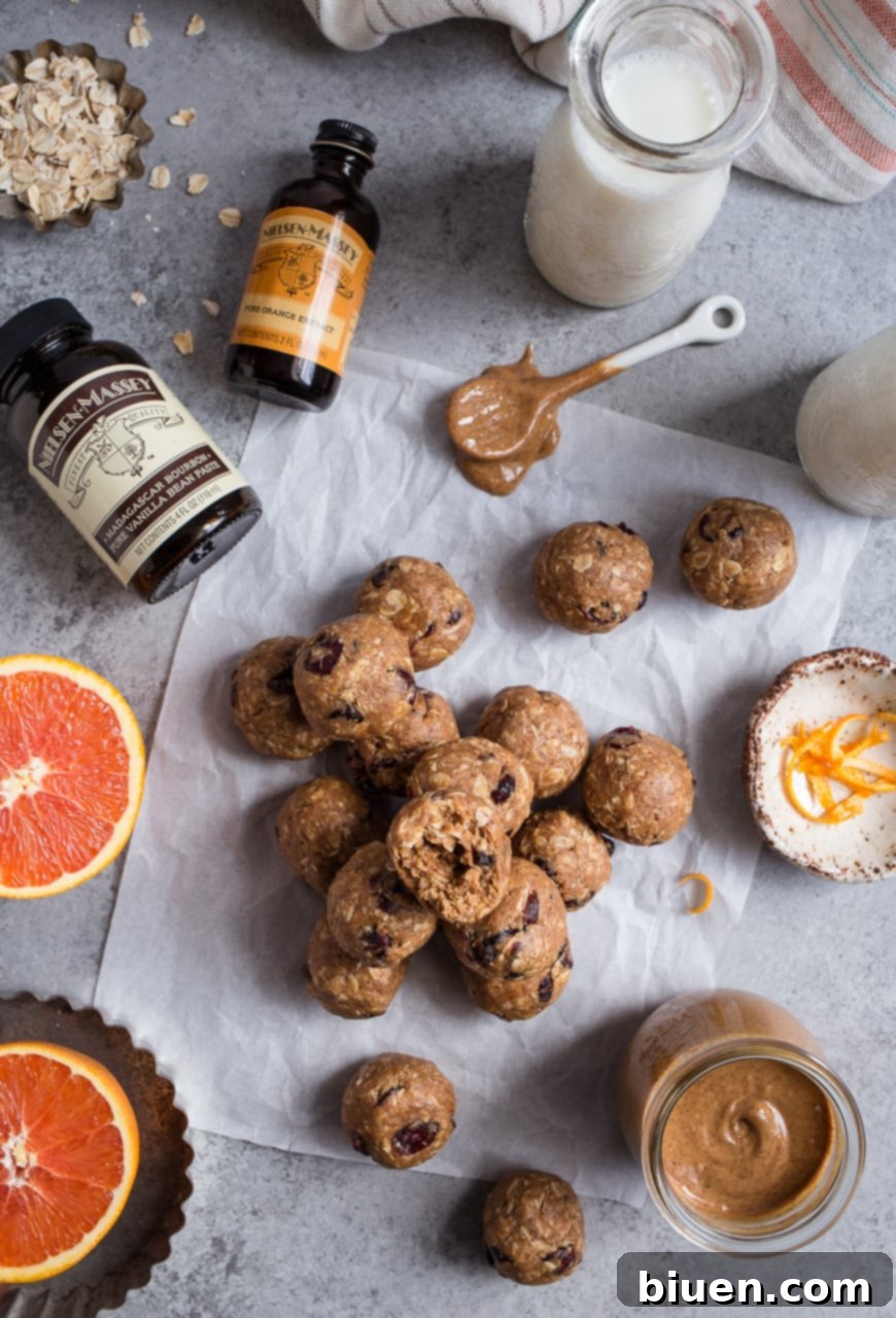 Cranberry Orange Oatmeal Cookie Energy Bites
