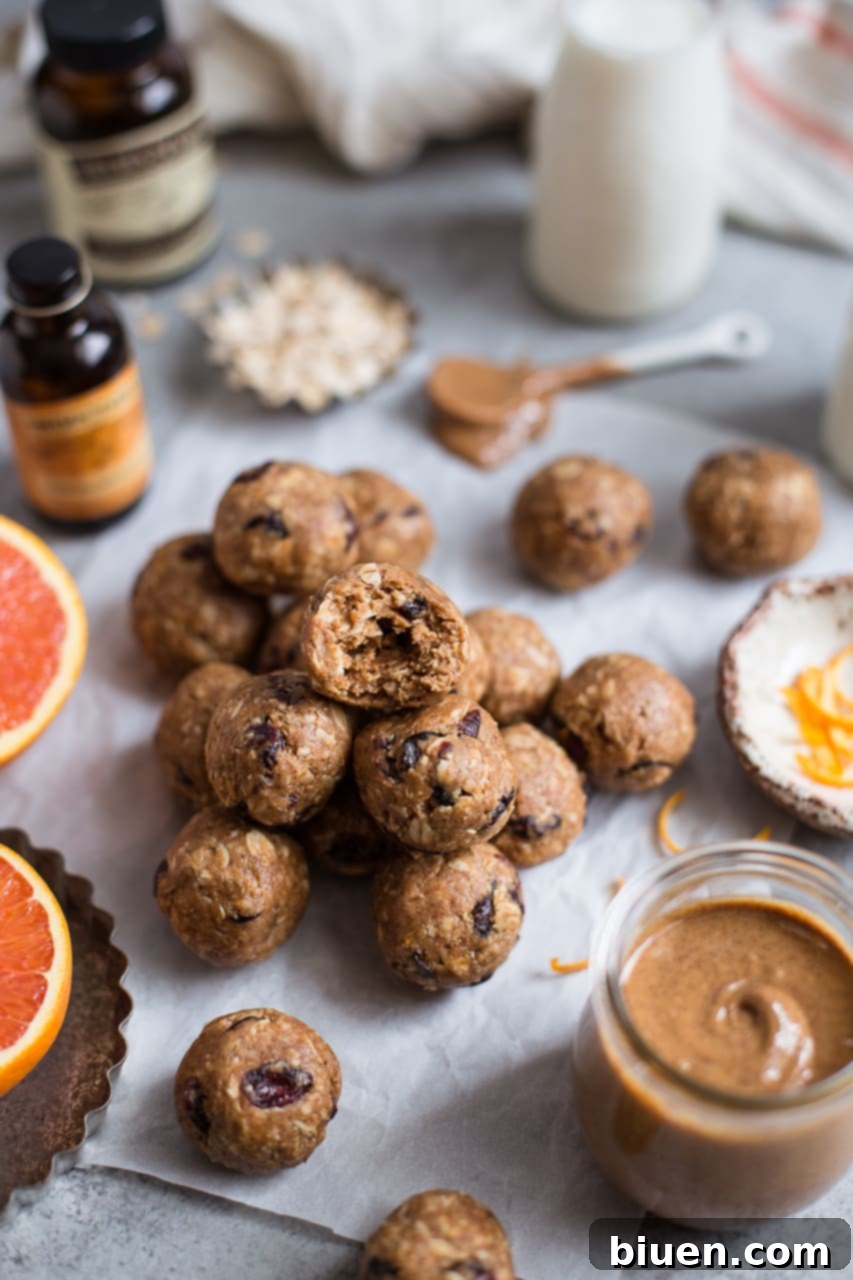 Cranberry Orange Oatmeal Cookie Energy Bites