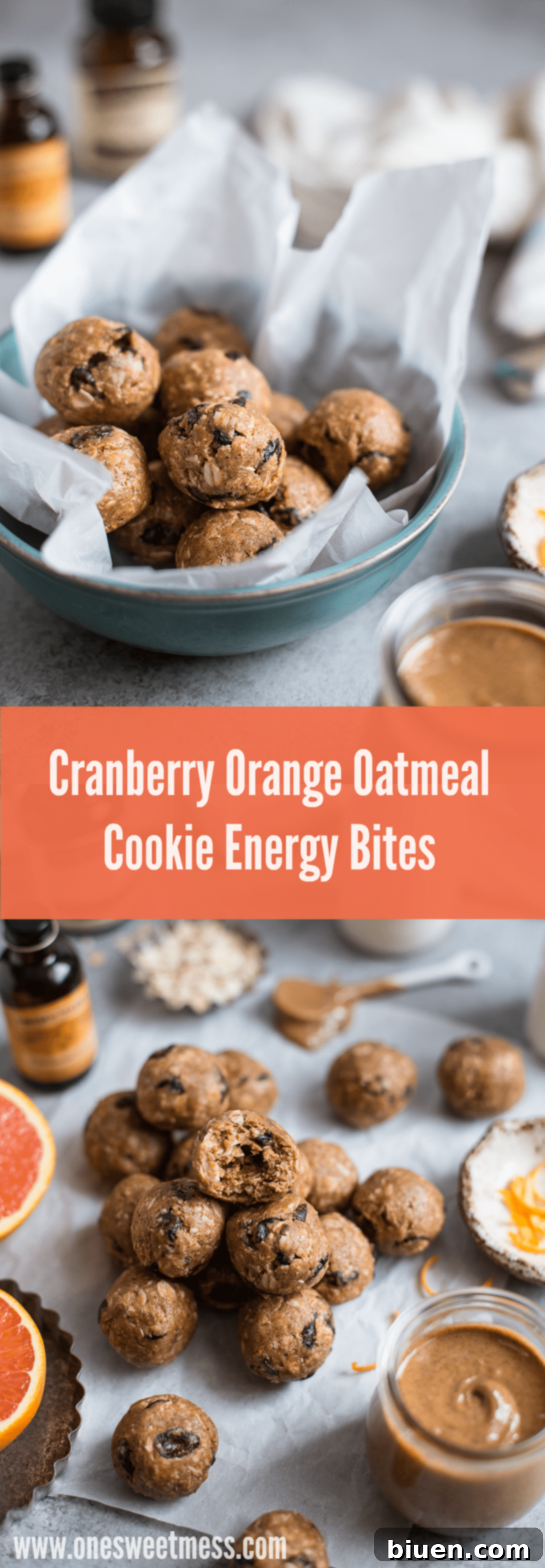 Cranberry Orange Oatmeal Cookie Energy Bites