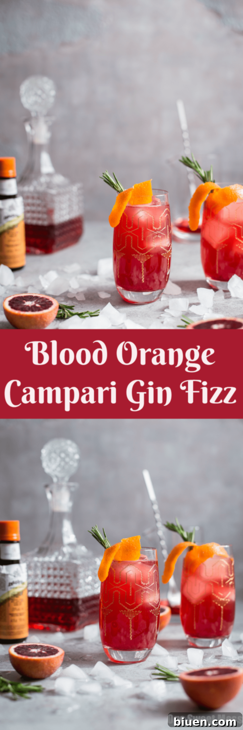 Blood Orange Campari Gin Fizz