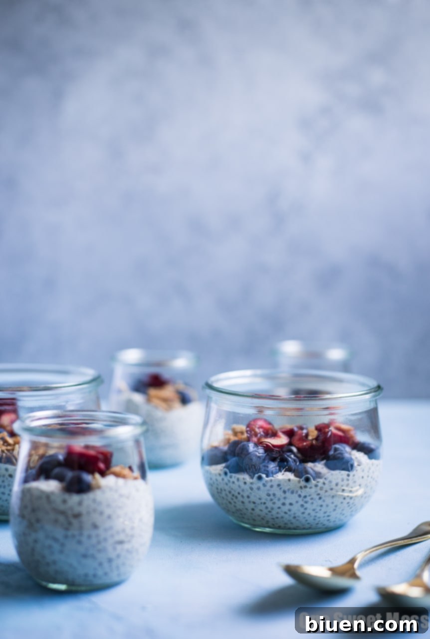 This Very Vanilla Chia Pudding is gluten-free, vegan-friendly, naturally sweetened, and high in protein. It's a great on-the-go healthy breakfast option.