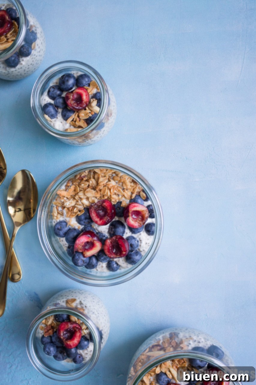 This Very Vanilla Chia Pudding is gluten-free, vegan-friendly, naturally sweetened, and high in protein. It's a great on-the-go healthy breakfast option.