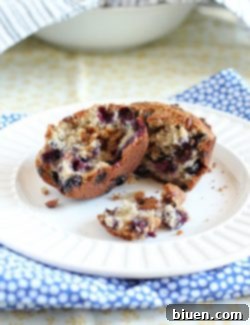 A plate of freshly baked Blueberry Cinnamon Chip Muffins
