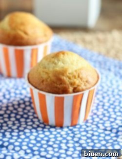 A freshly baked Peach Butter Muffin, beautifully golden and ready to eat.