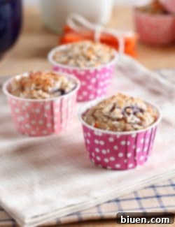 Blueberry Carrot Muffins ready to eat