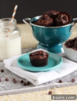 Nutella Swirl Pumpkin Chocolate Muffins recipe card image