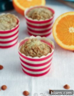 A delicious plate of Allspice Cinnamon Chip Streusel Muffins, ready to be enjoyed.