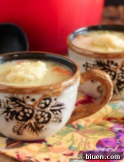 A final close-up of the delicious Chicken Soup with Dumplings.