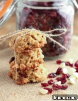 Final image of a delicious Cranberry White Chocolate Chip Oat Cookie from the recipe