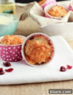 A freshly baked Cheddar Herb Cranberry Muffin