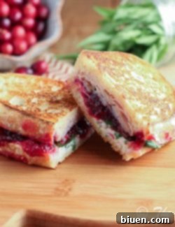 A deliciously prepared Turkey & Cranberry Panini