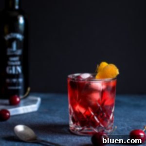 Crimson Negroni 5 Cherry Negroni Cocktail
