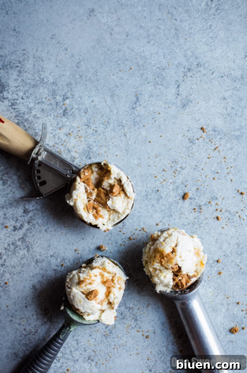 No-Churn Peach Cobbler Ice Cream