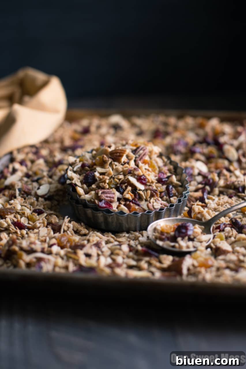 Scoops of Chai Spiced Granola with various nuts and dried fruits