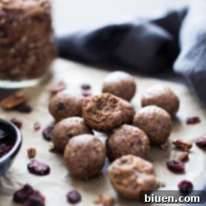 Toasted Pecan Cranberry Energy Bites | Gluten-Free, Vegan & Naturally Sweetened
