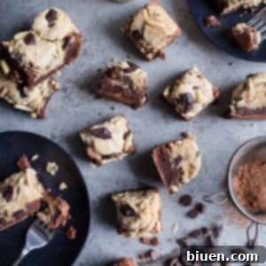 Gluten-Free Chocolate Chip Cookie Brownie Bars 8 Gluten-Free Chocolate Chip Cookie Brownies