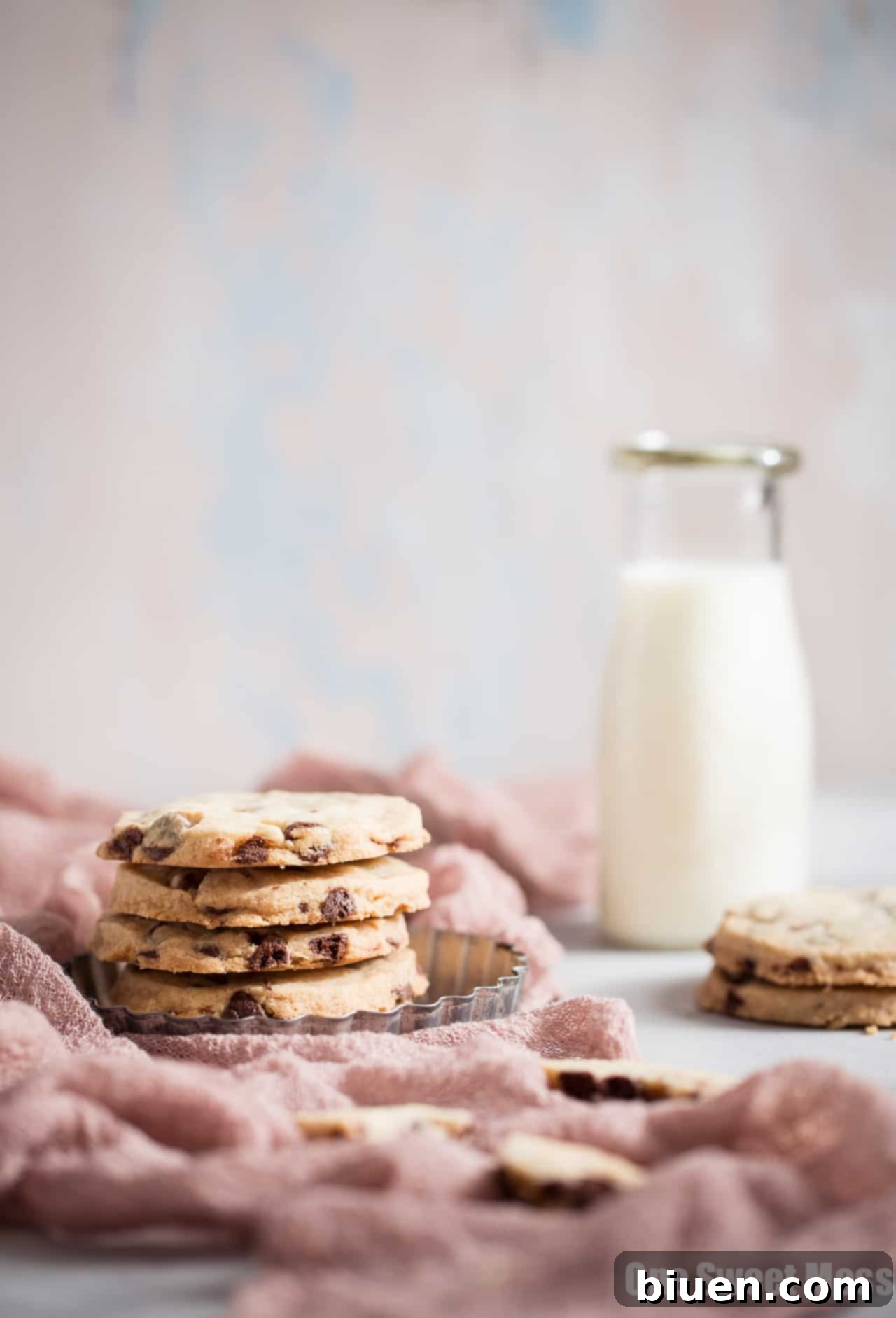 Gluten-Free Chocolate Chip Shortbread Indulgence 2 Classic Gluten-Free Chocolate Chip Shortbread Cookies, beautifully arranged on a white background.