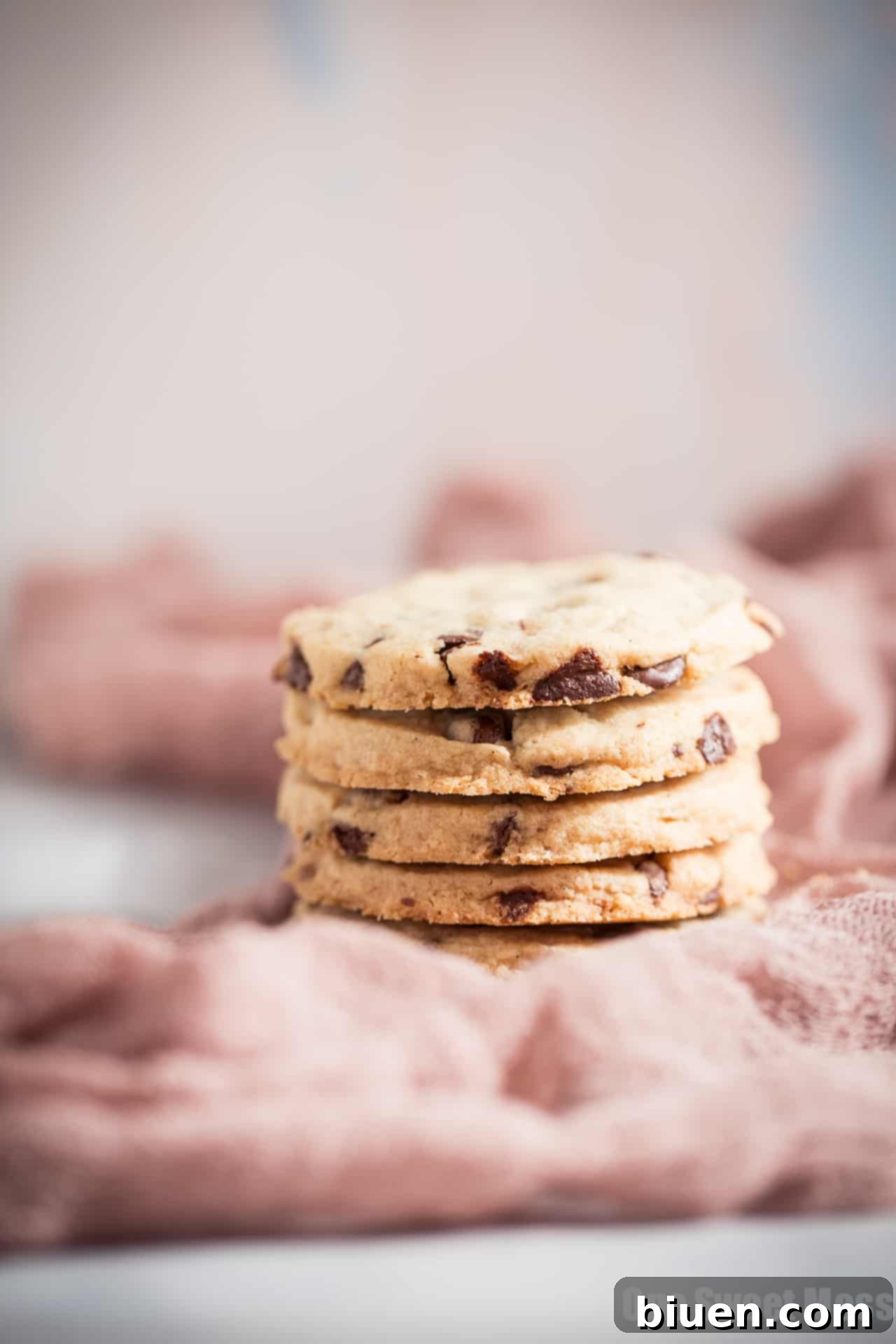 Gluten-Free Chocolate Chip Shortbread Indulgence 5 Unbaked Gluten-Free Chocolate Chip Shortbread Cookie dough log, ready for slicing.