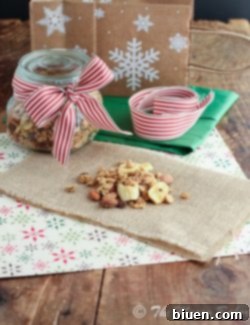 Final serving of Peanut Butter Banana Chip Granola in a bowl