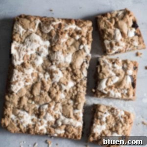 Gluten-Free Peanut Butter S'mores Bars